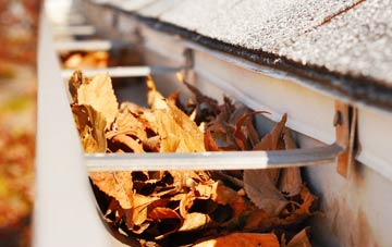 Hither Green gutter cleaning companies