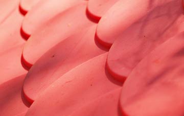 Hither Green plastic roof costs