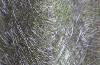 Hither Green fibreglass roof work